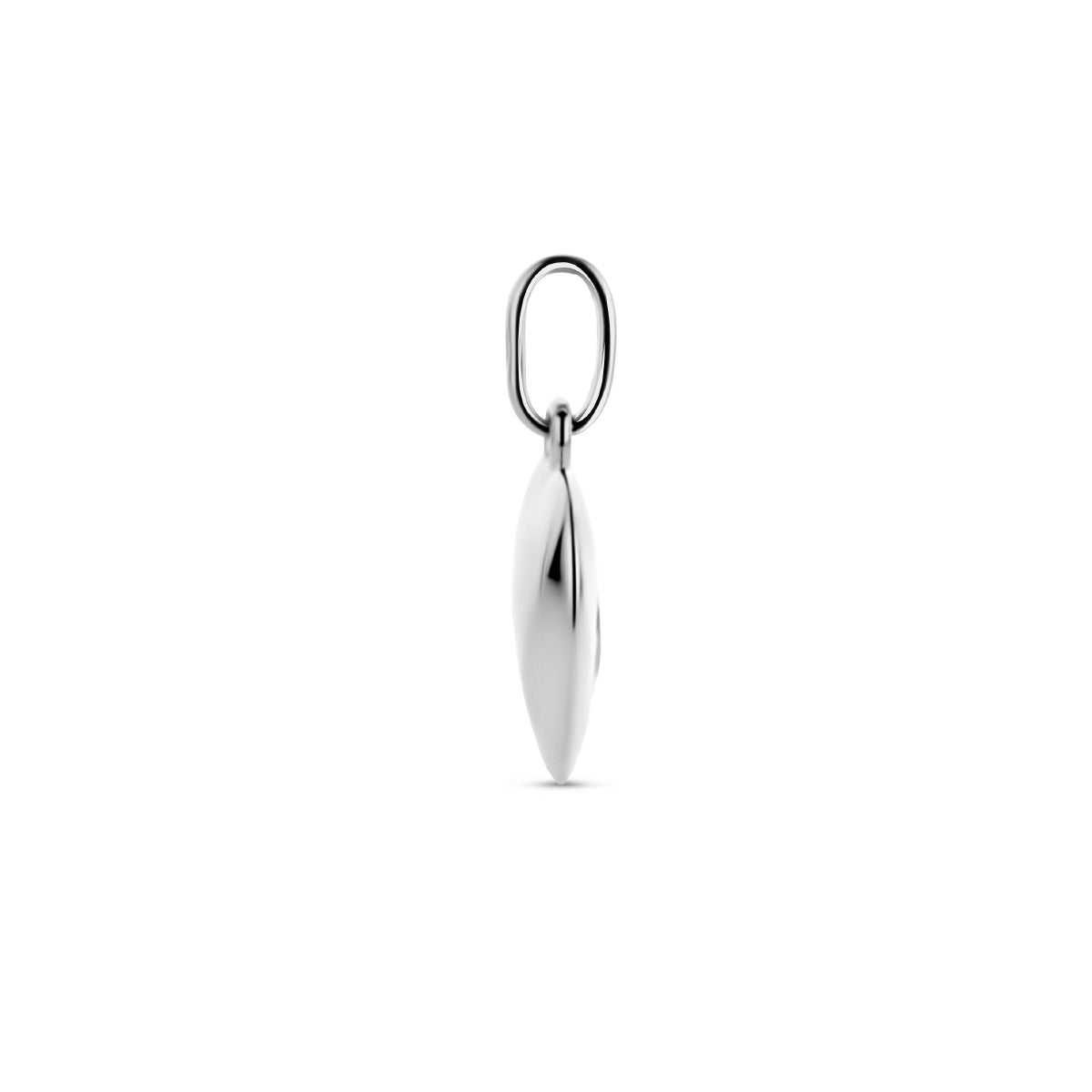 zilver gerhodineerd hanger hart en hondenpoot zirkonia 1335075 - PansiteNederland.nl