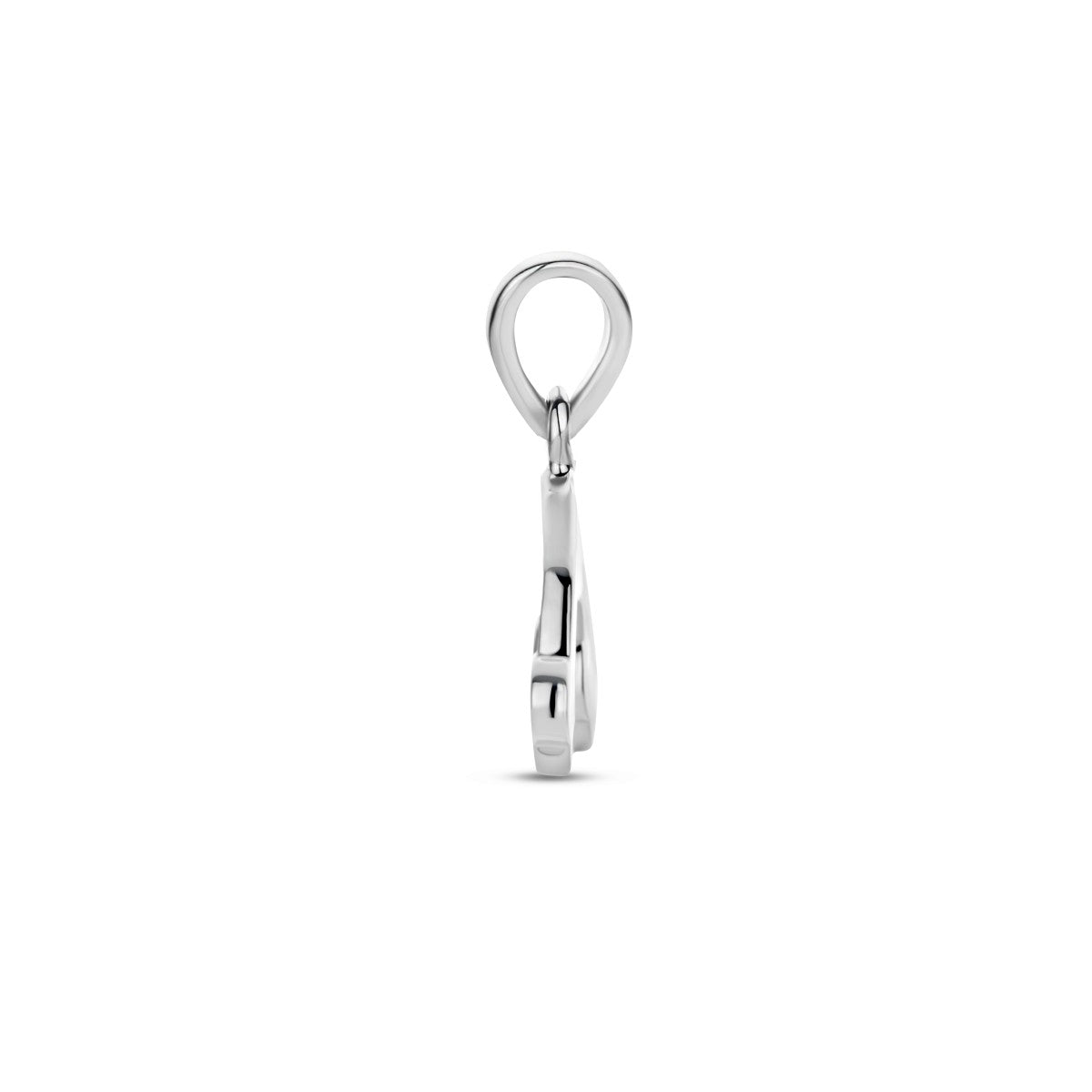 zilver gerhodineerd hanger regenboog 1336208 - PansiteNederland.nl