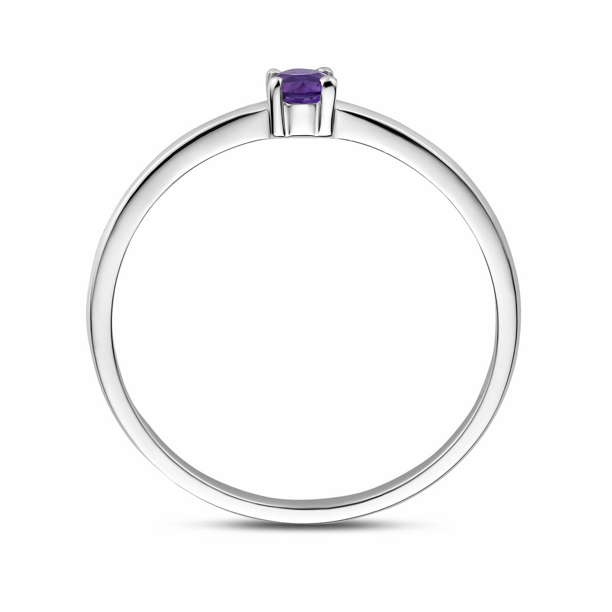 Gerhodineerd Zilver Ring Met Geboortesteen Amethist Februari 1337074 - PansiteNederland.nl