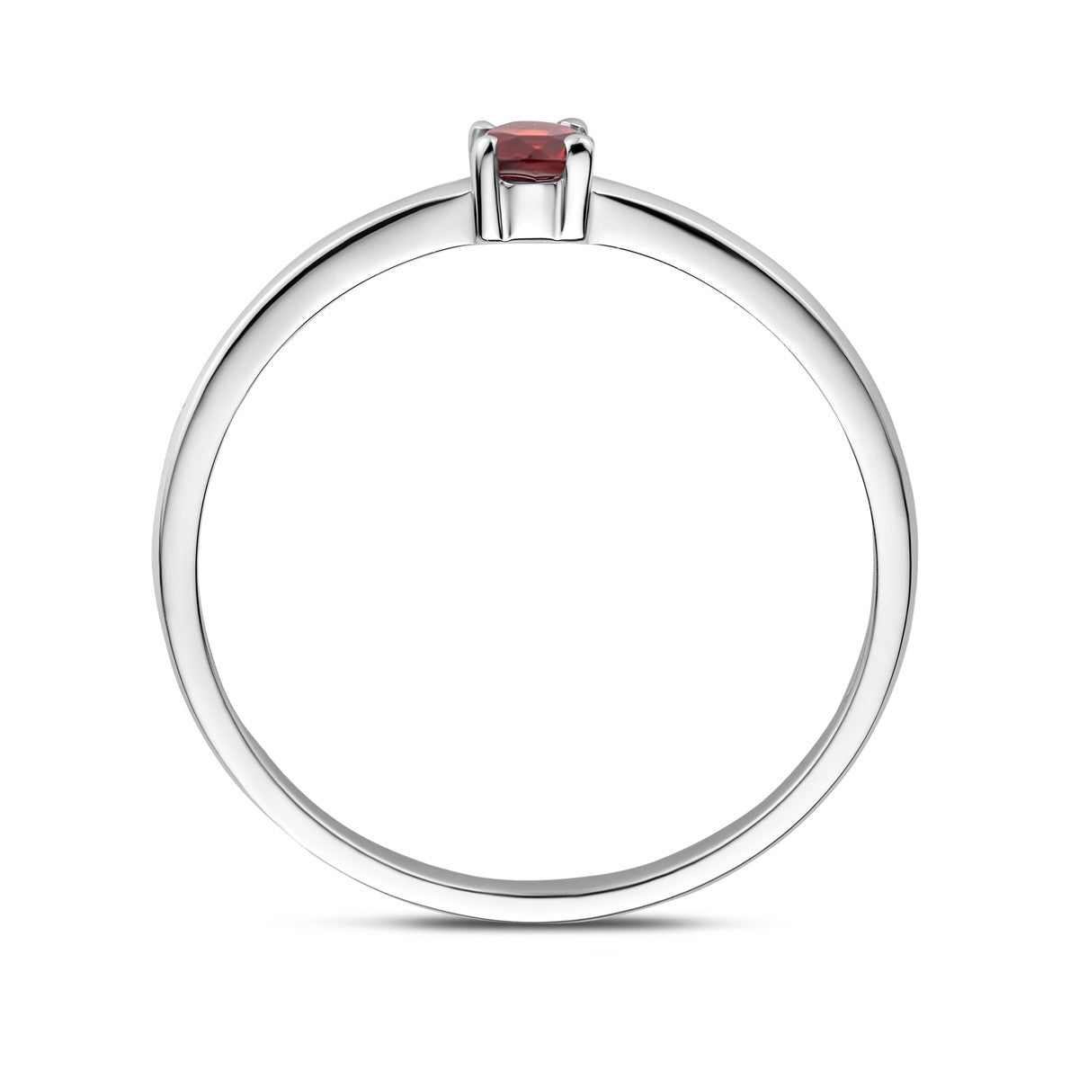 Gerhodineerd Zilver Ring Met Geboortesteen Granaat Januari 1337101 - PansiteNederland.nl
