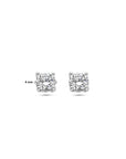 Zilver Gerhodineerd Oorknoppen Zirkonia 1337664 - PansiteNederland.nl