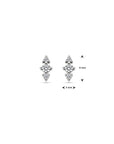 Zilver Gerhodineerd Oorknoppen Zirkonia 1338061 - PansiteNederland.nl