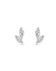 Zilver Gerhodineerd Oorknoppen Zirkonia 1338065 - PansiteNederland.nl