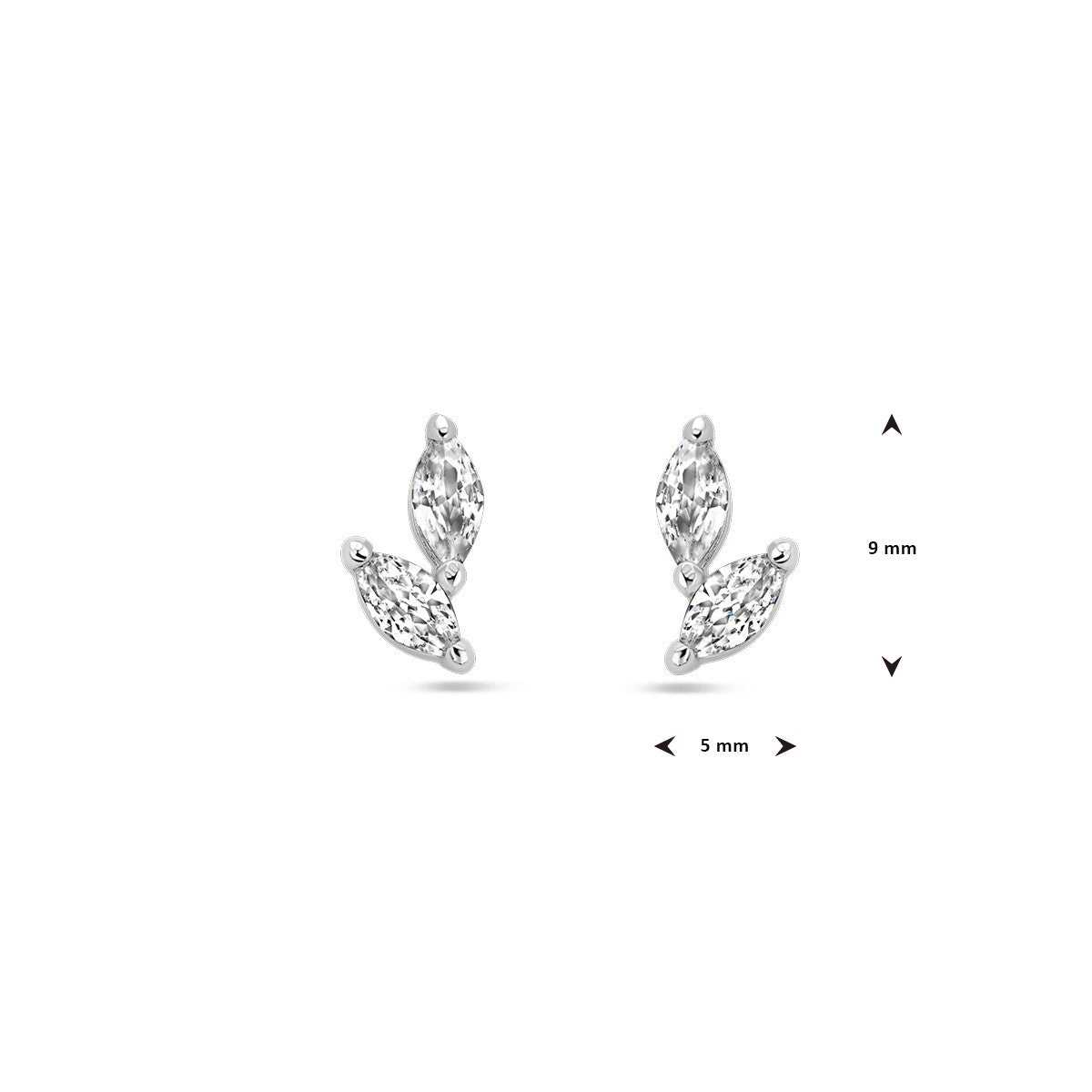 Zilver Gerhodineerd Oorknoppen Zirkonia 1338065 - PansiteNederland.nl