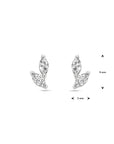 Zilver Gerhodineerd Oorknoppen Zirkonia 1338065 - PansiteNederland.nl