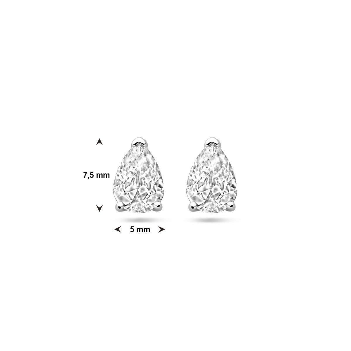Zilver Gerhodineerd Oorknoppen Zirkonia 1338930 - PansiteNederland.nl