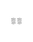Zilver Gerhodineerd Oorknoppen Zirkonia 1338931 - PansiteNederland.nl