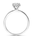 Gerhodineerd Zilver Ring Met Zirkonia 1339180 - PansiteNederland.nl