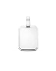 zilver gerhodineerd graveerhanger gediamanteerd 18 mm 1339476 - PansiteNederland.nl
