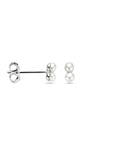 Zilver Gerhodineerd Oorknoppen Parel 5,5 Mm 1339481 - PansiteNederland.nl