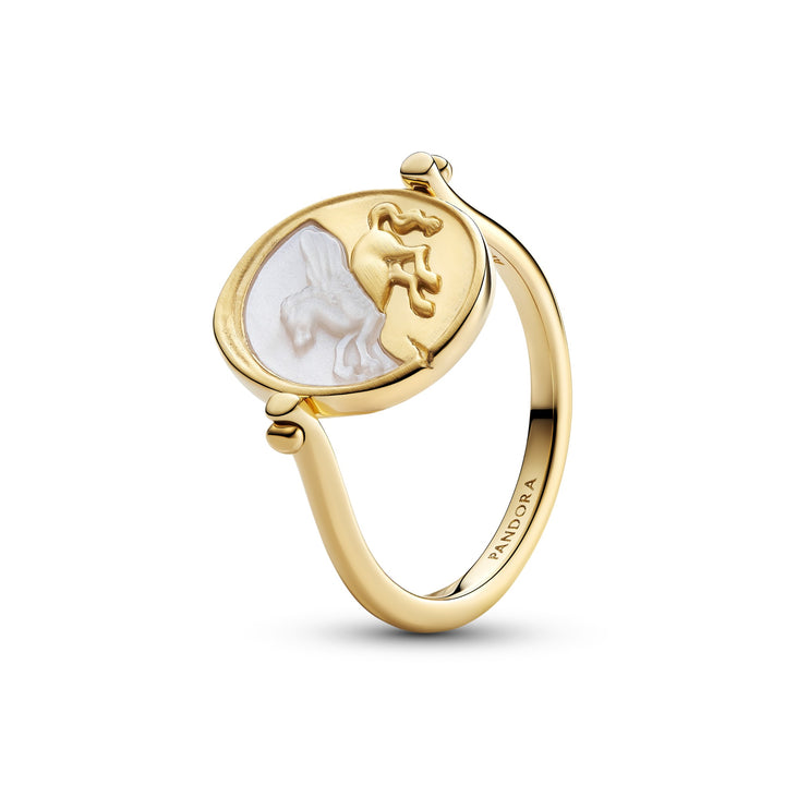 Pandora ringen