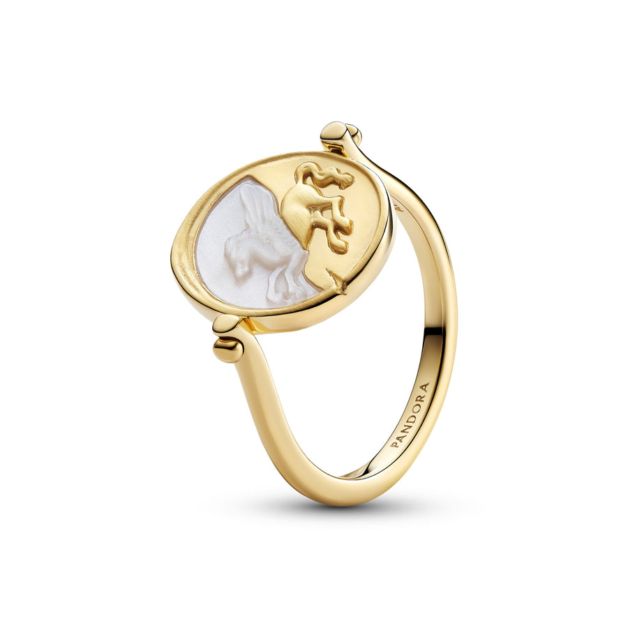 Nieuwe Pandora sieraden
