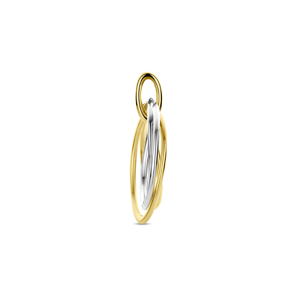 14K bicolor goud geel/wit hanger 21 mm - 4209098 - PansiteNederland.nl