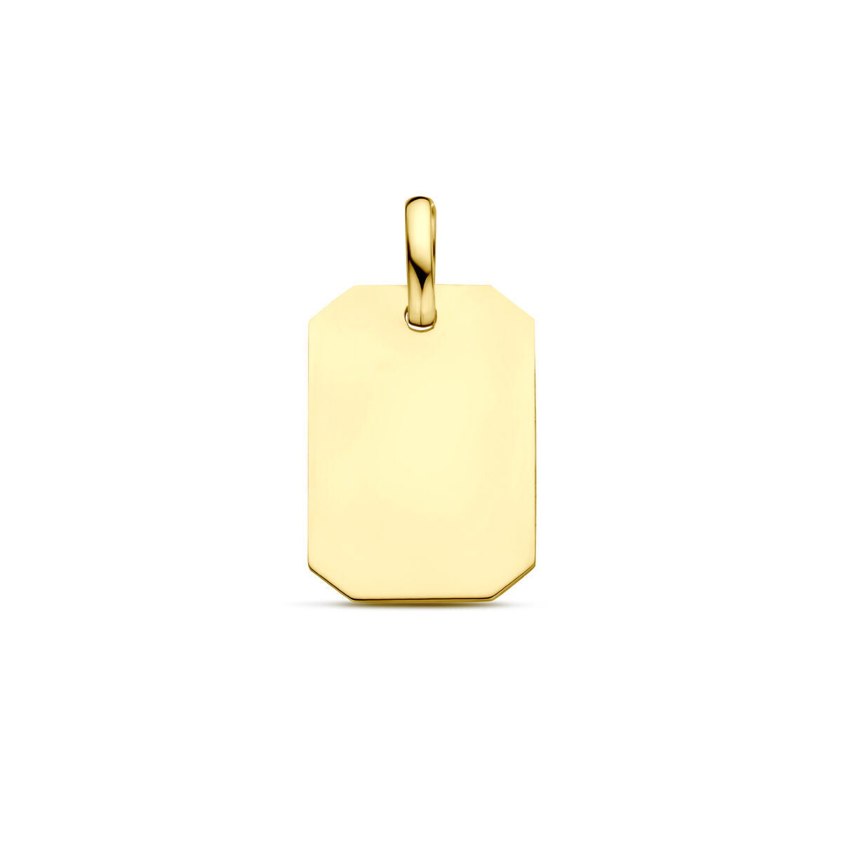 9K Geelgouden 9k graveerhanger 20 mm - 8000167 - PansiteNederland.nl