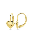 Zilver Verguld (Geel) Oorhangers Hart Brisur Haak 1 Micron 2103424