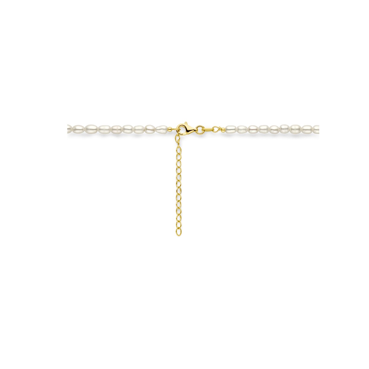 Collier 3,8 mm 40 + 5 cm zilver verguld