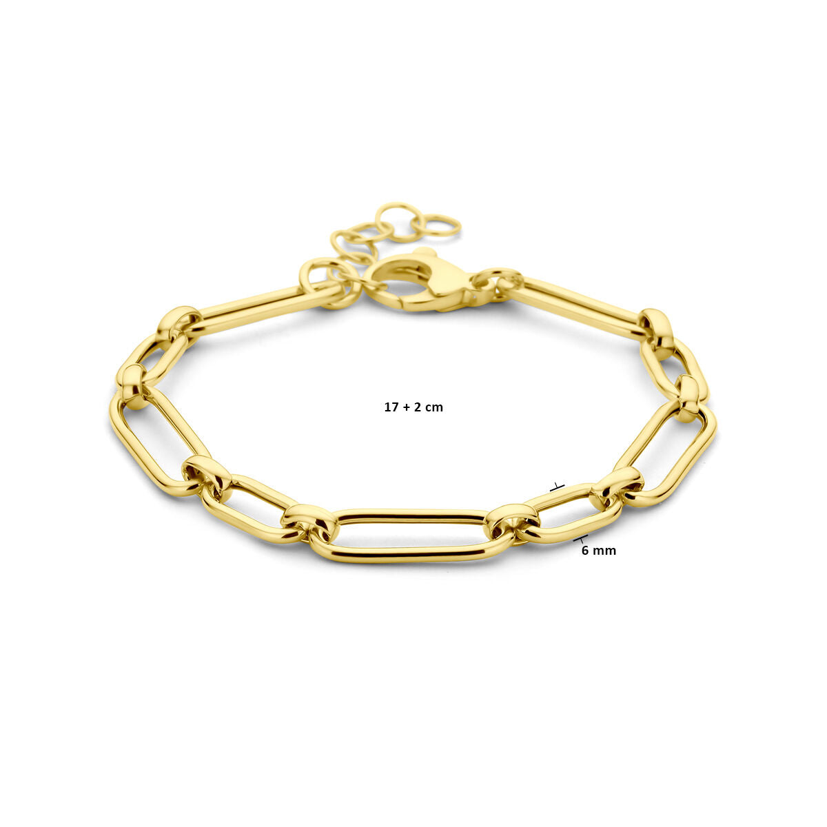 Zilver Verguld (Geel) Armband 6,0 Mm 17 + 2 Cm 3 Micron 2103593 - PansiteNederland.nl
