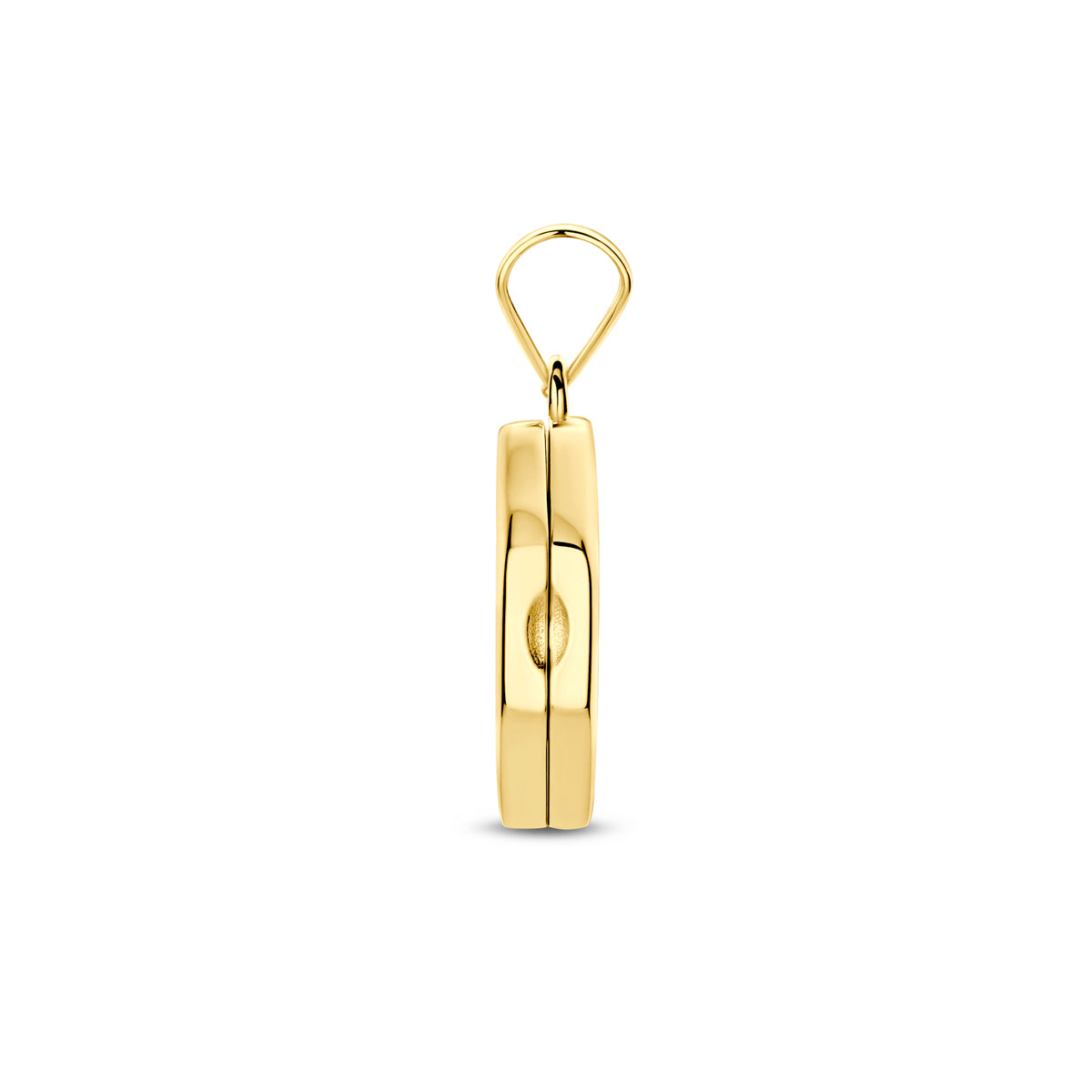 Hanger medaillon 16 mm 3 micron zilver verguld