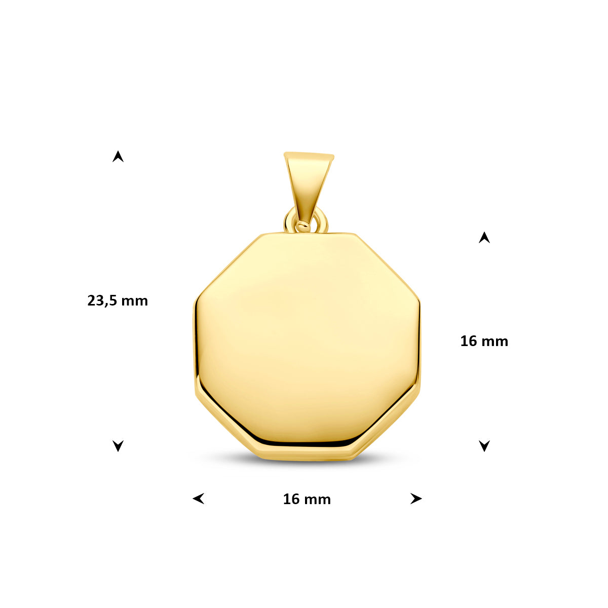 Hanger medaillon 16 mm 3 micron zilver verguld