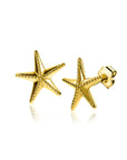 ZINZI gold plated zilveren oorstekers grote zeester 13mm ZIO2641 - PansiteNederland.nl