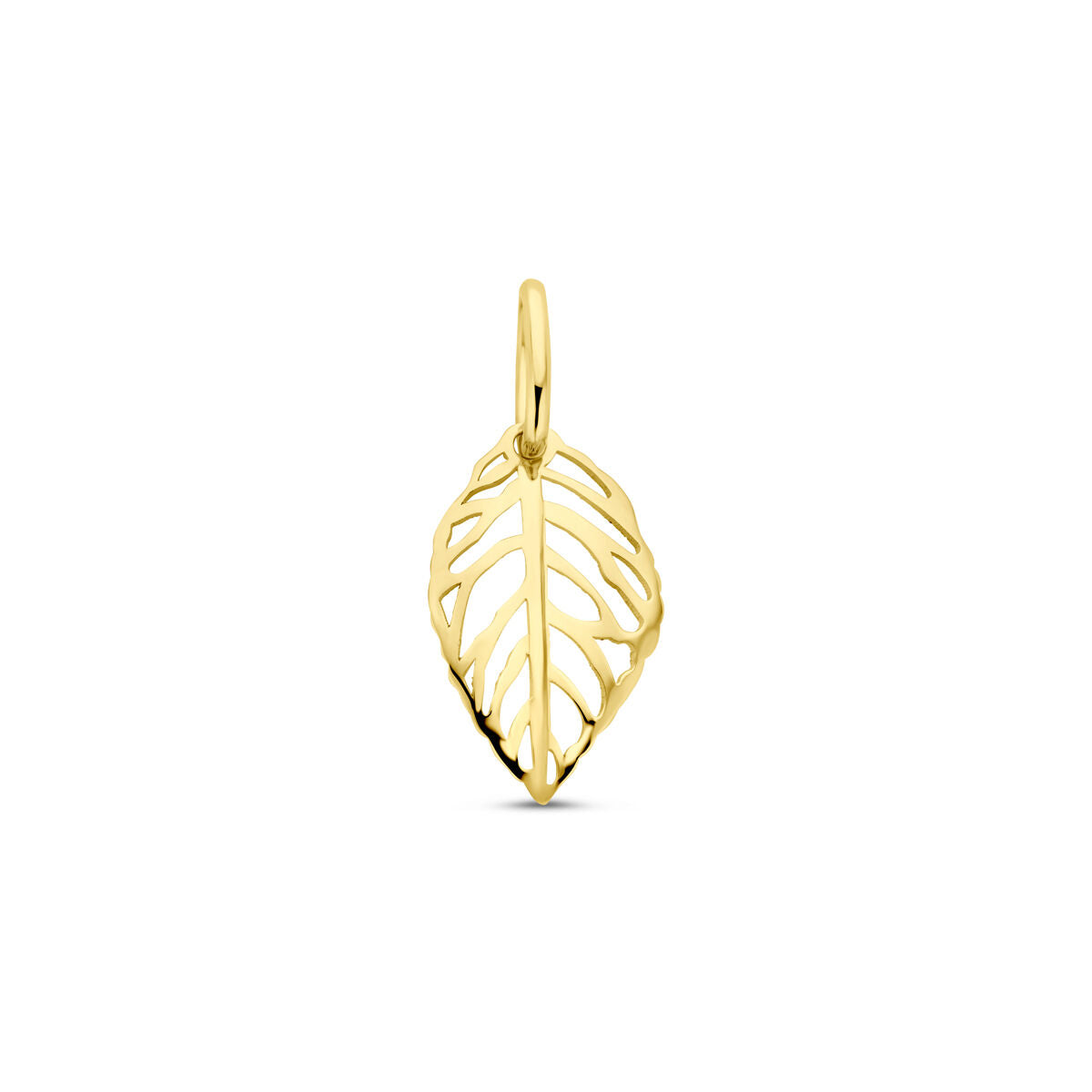 14K geelgouden hanger blad 17 mm - 4034254 - PansiteNederland.nl