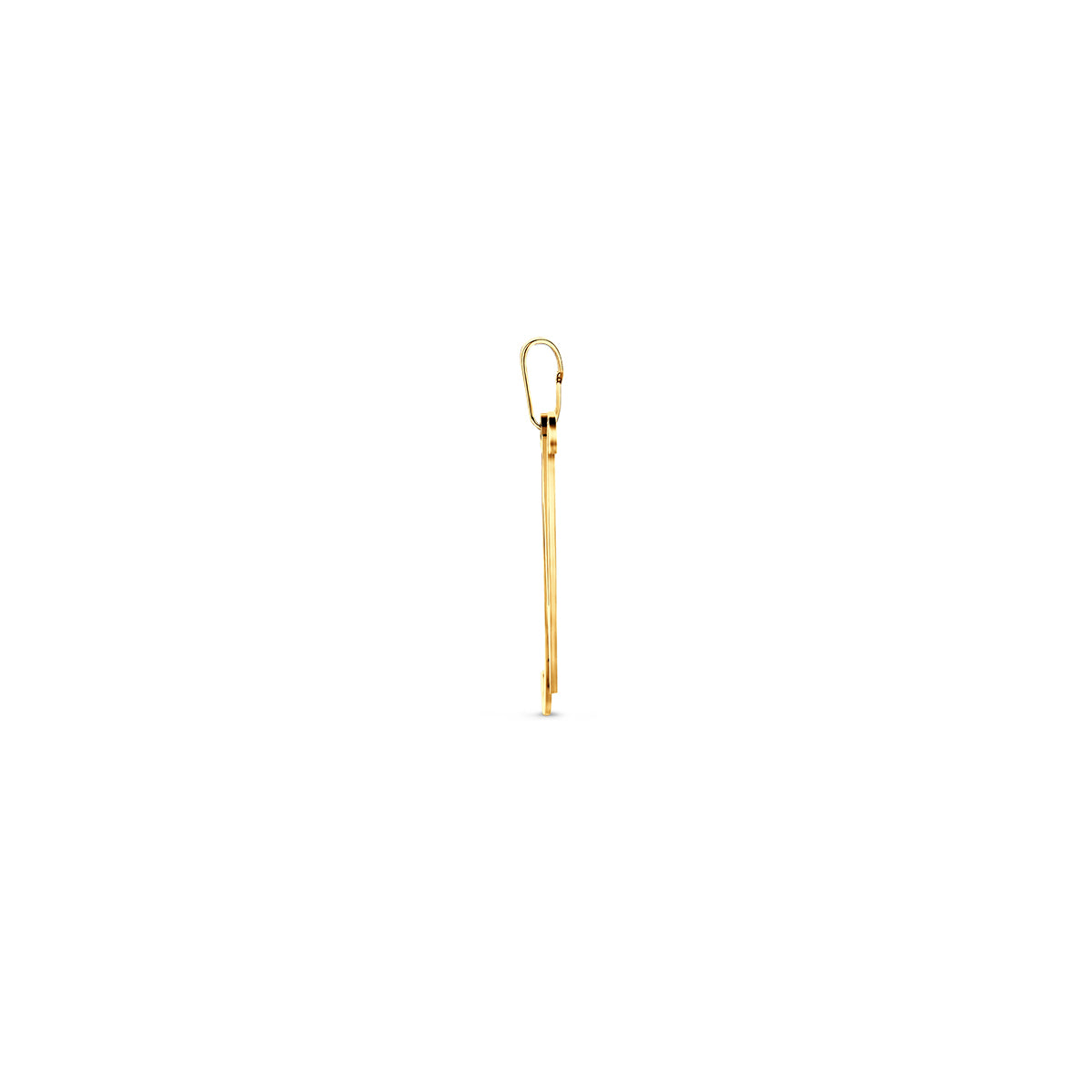 Hanger sierletter N 21,5 mm 14K geelgoud #Letter_N