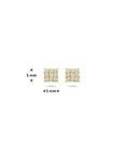 Bicolor gouden oorknoppen zirkonia - PSN4019082
