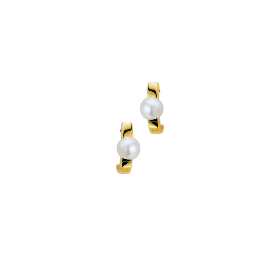 14K Geelgoud Oorknoppen Parel 4001131 - PansiteNederland.nl