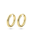 14K Geelgoud Klapoorringen 2,5 MM Ronde Buis 4001660 - PansiteNederland.nl
