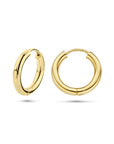 14K Geelgoud Klapoorringen 2,5 MM Ronde Buis 4001660 - PansiteNederland.nl