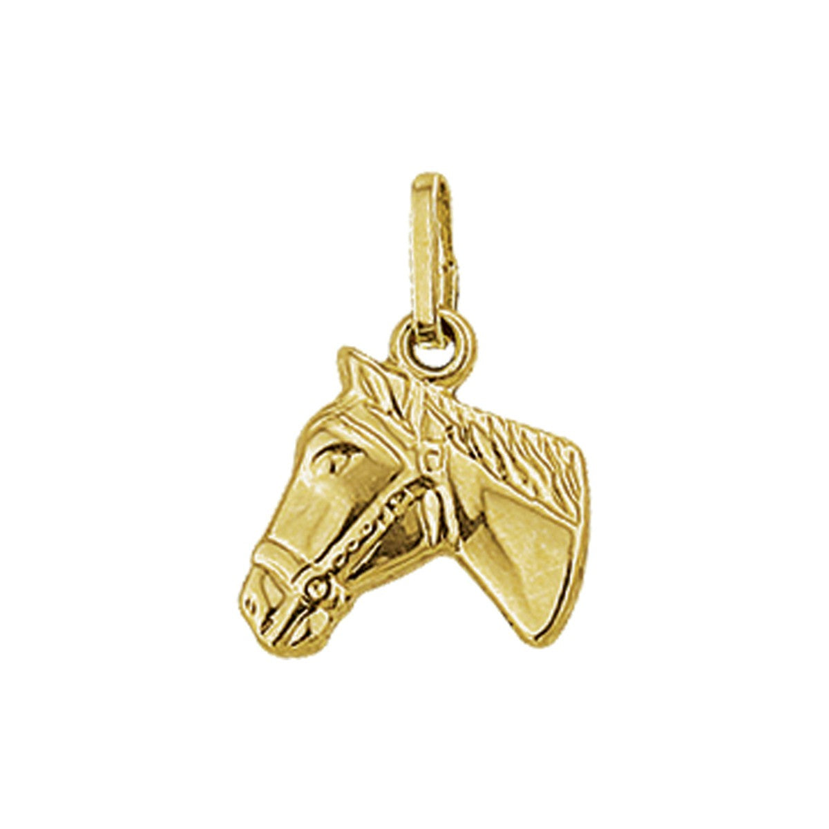 14K geelgoud hanger paardenhoofd 4001846 - PansiteNederland.nl