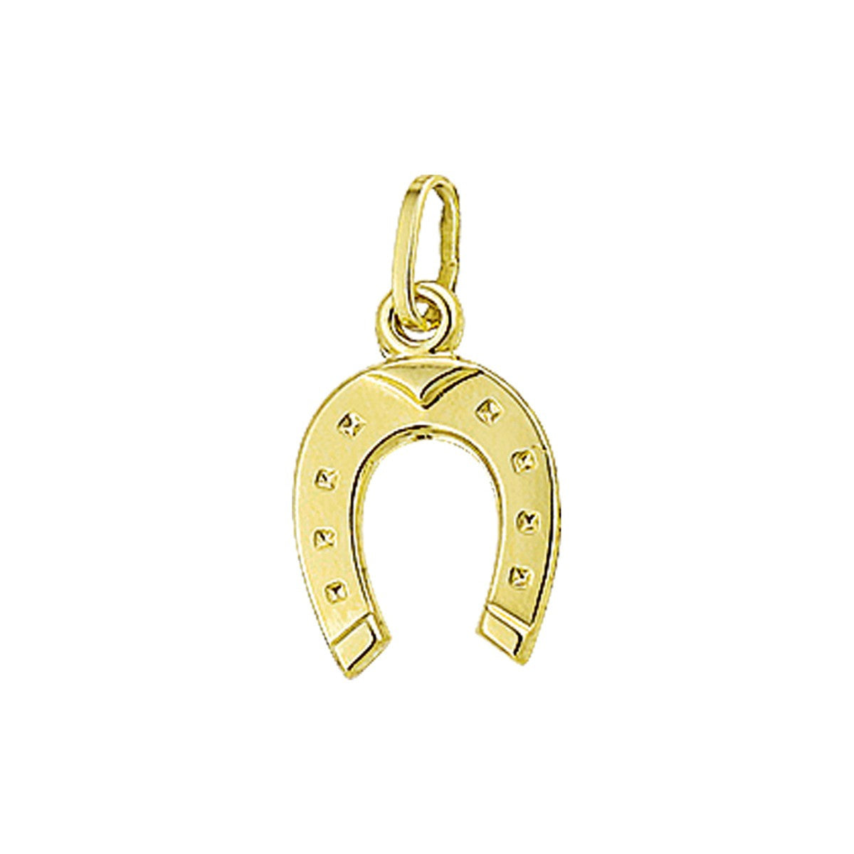 14K geelgoud hanger hoefijzer 4001862 - PansiteNederland.nl