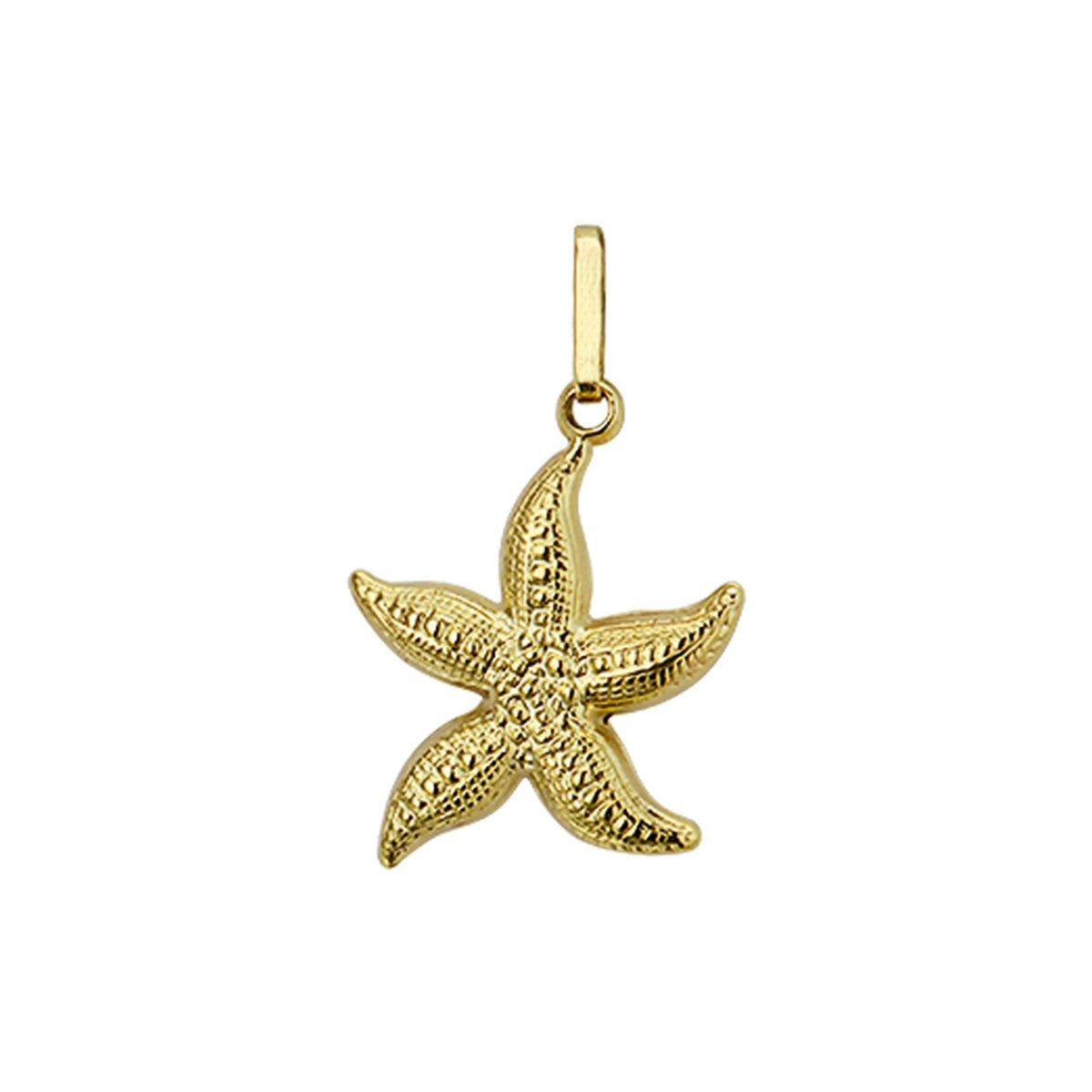 14K geelgoud hanger zeester 4001906 - PansiteNederland.nl