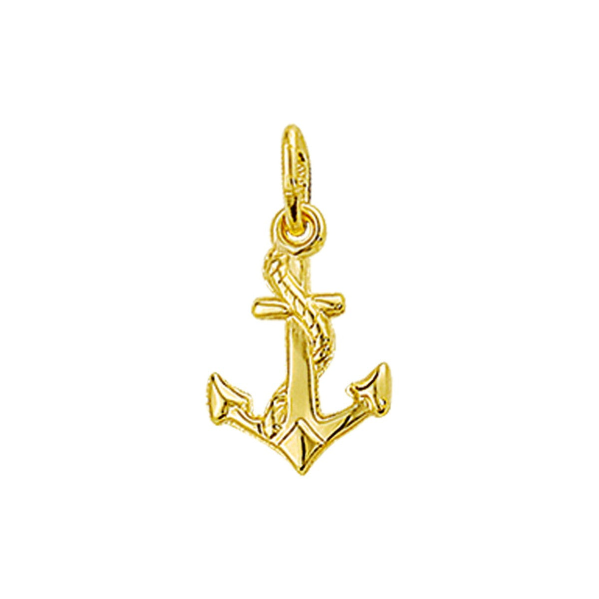 14K geelgoud hanger anker 4002156 - PansiteNederland.nl