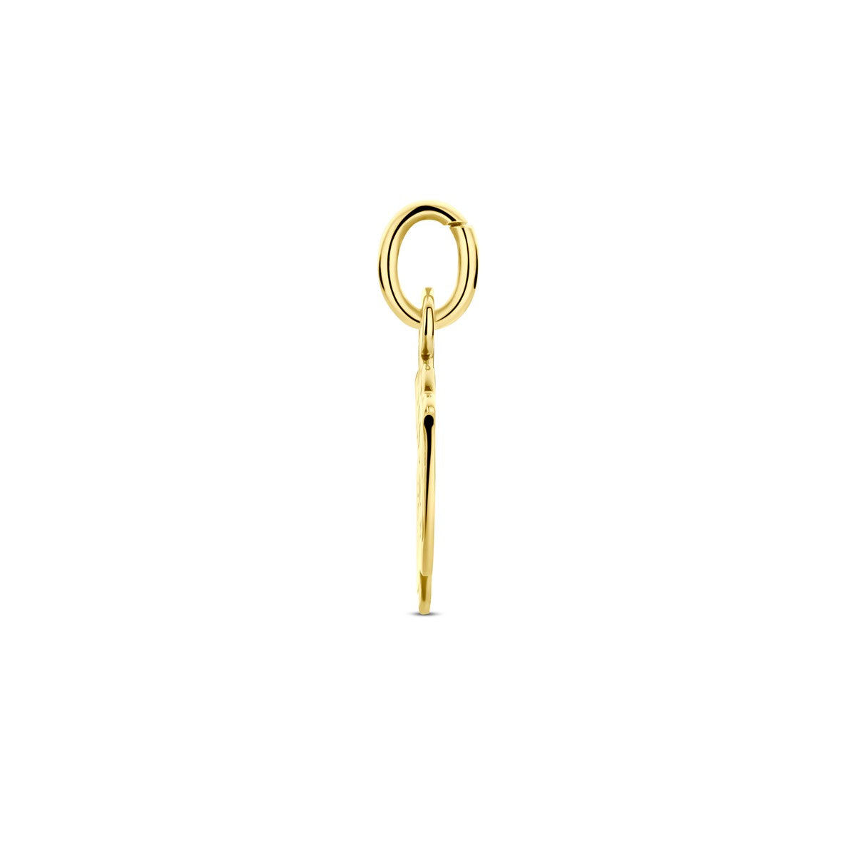 14K geelgoud hanger jongen 15 x 11 mm 4005849 - PansiteNederland.nl