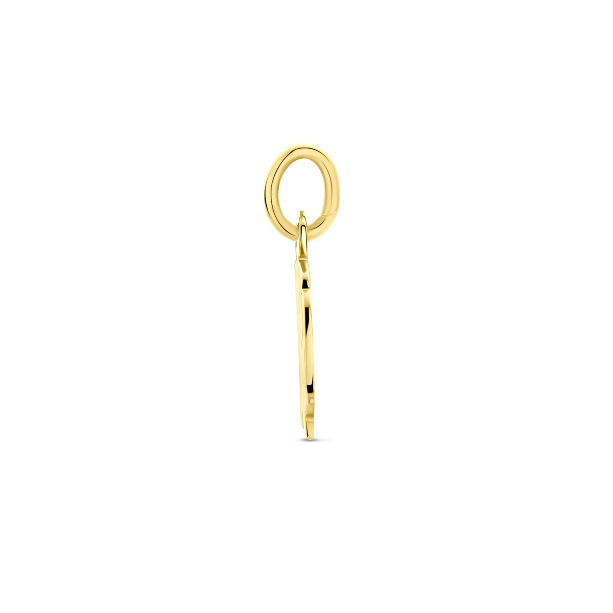 14K geelgoud hanger meisje 15 x 11 mm 4005850 - PansiteNederland.nl