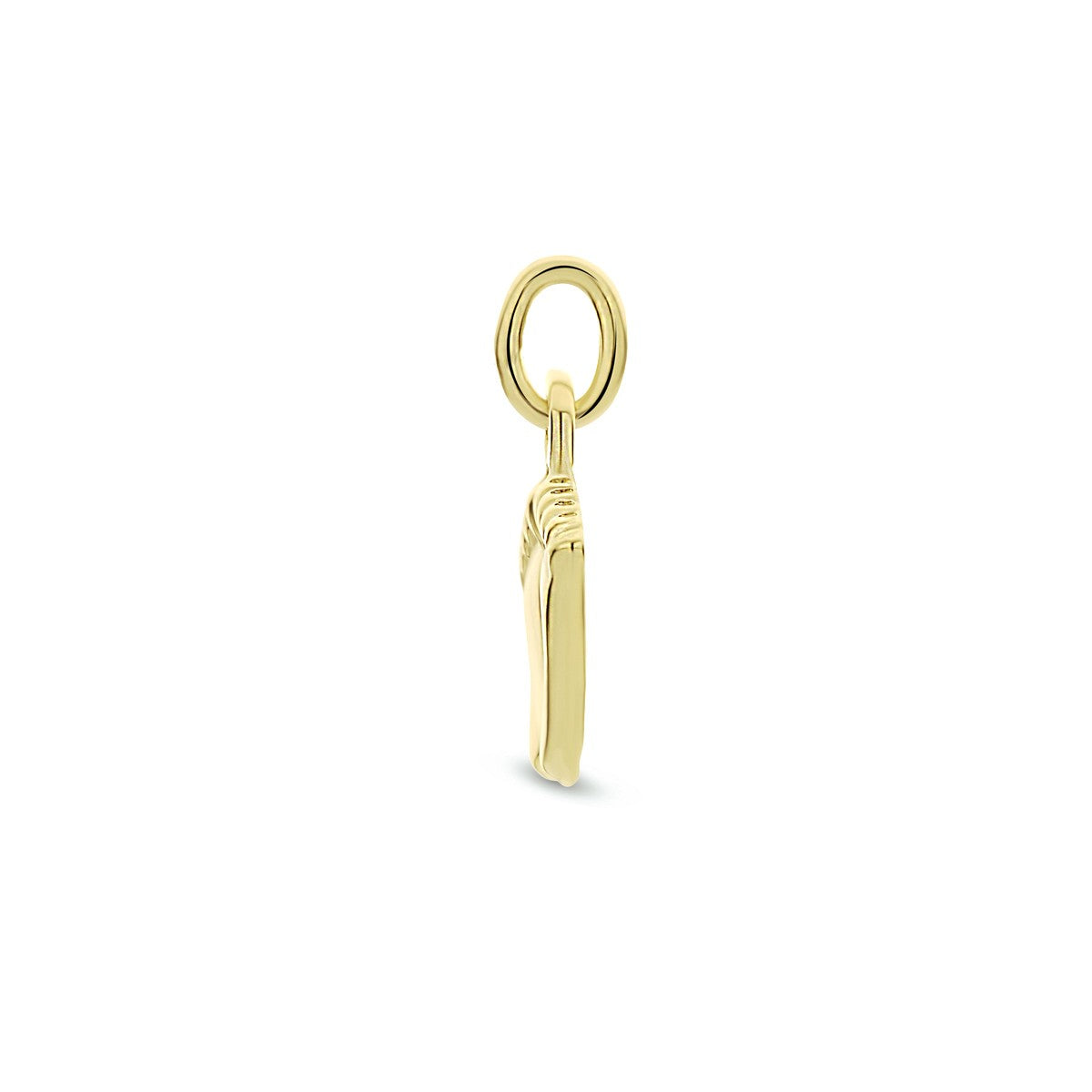 14K geelgoud hanger voeten 4008595 - PansiteNederland.nl