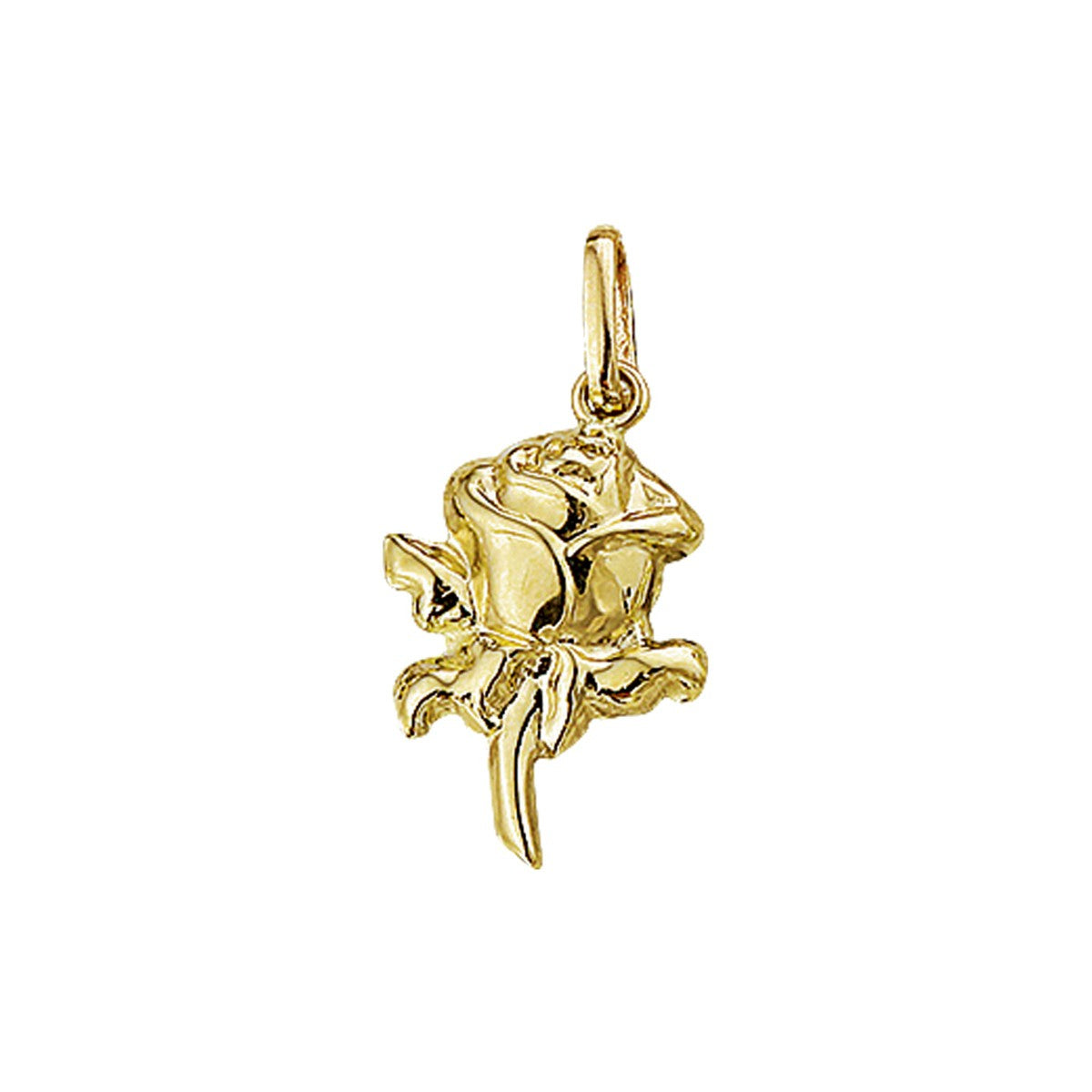 14K geelgoud hanger roos 4009749 - PansiteNederland.nl