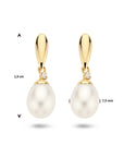 14K Geelgoud Oorhangers Parel En Zirkonia 4016816 - PansiteNederland.nl