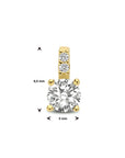 14K geelgoud hanger zirkonia 5,0 mm 4016890 - PansiteNederland.nl