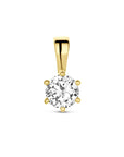 14K geelgoud hanger zirkonia 4017144 - PansiteNederland.nl