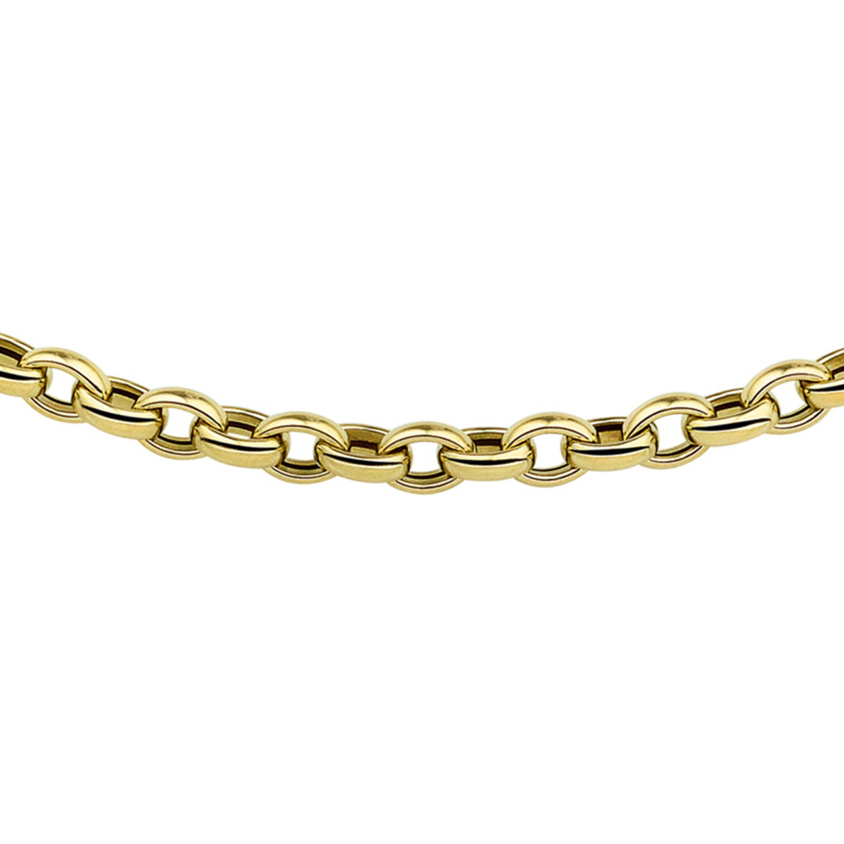 Collier jasseron 5,0 mm 45 cm 14K geelgoud