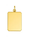 14K Geelgouden graveerhanger mat gediamanteerd - 4018352 - PansiteNederland.nl
