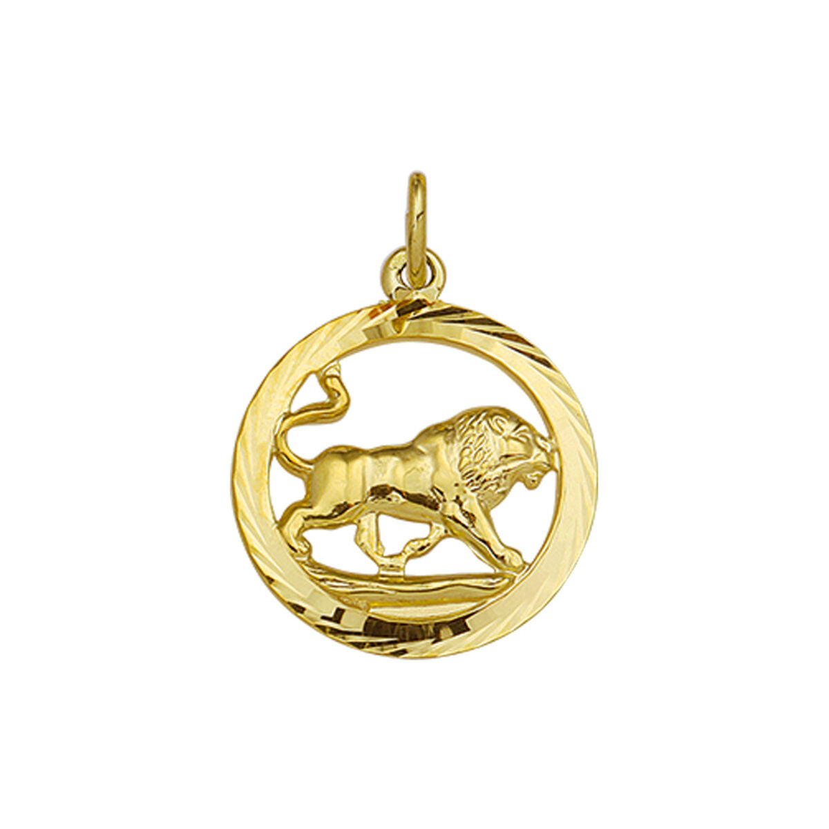14K Geelgouden Hanger sterrenbeeld Leeuw gediamanteerd - 4018378 - PansiteNederland.nl