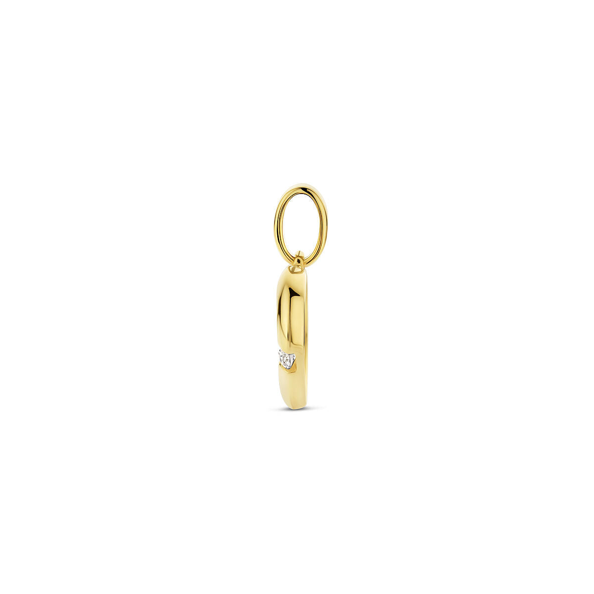 Hanger hart zirkonia 14K geelgoud