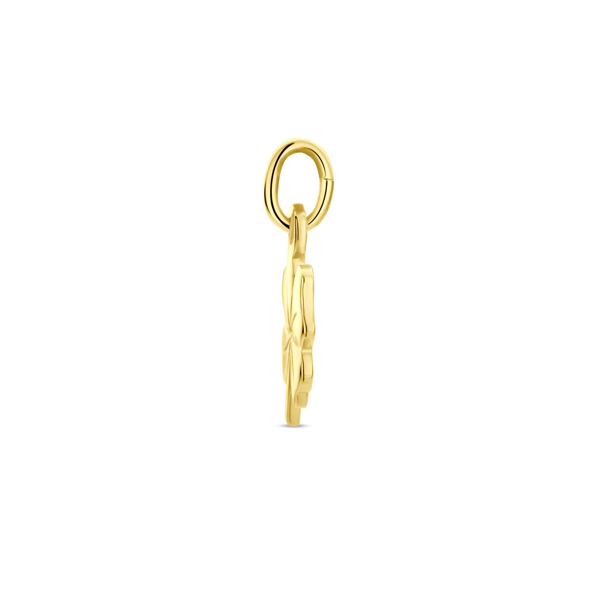 Hanger klavertje 14K geelgoud
