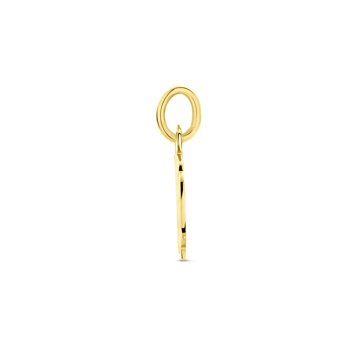 Hanger meisje 15 x 11 mm 14K geelgoud