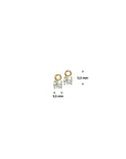 Gouden oorhanger zirkonia - PSN4020127