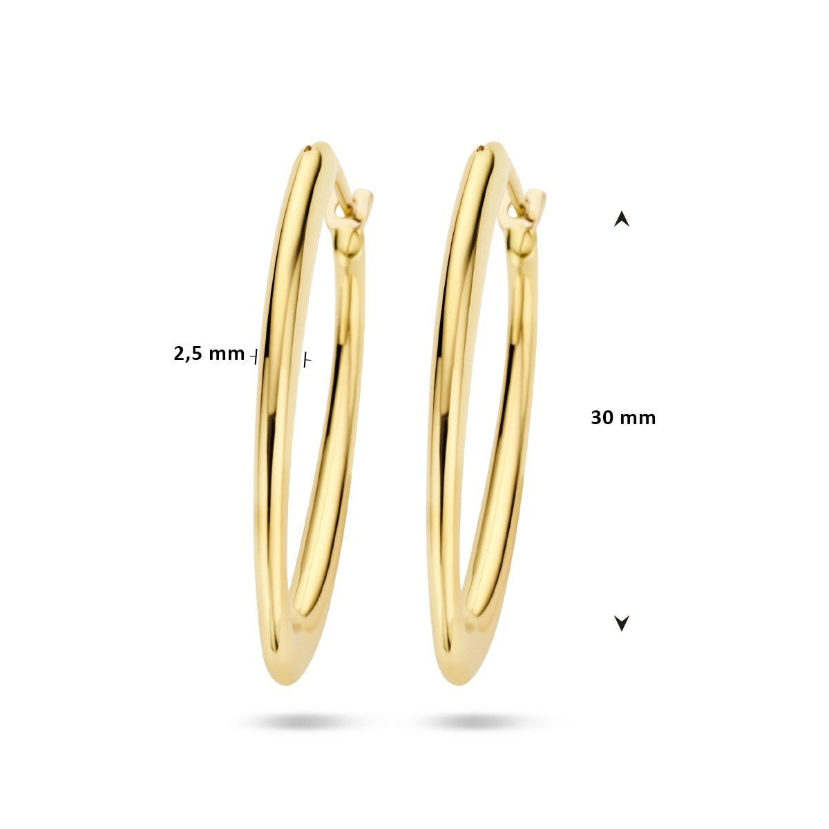 14K Geelgoud Oorringen 4020658 - PansiteNederland.nl