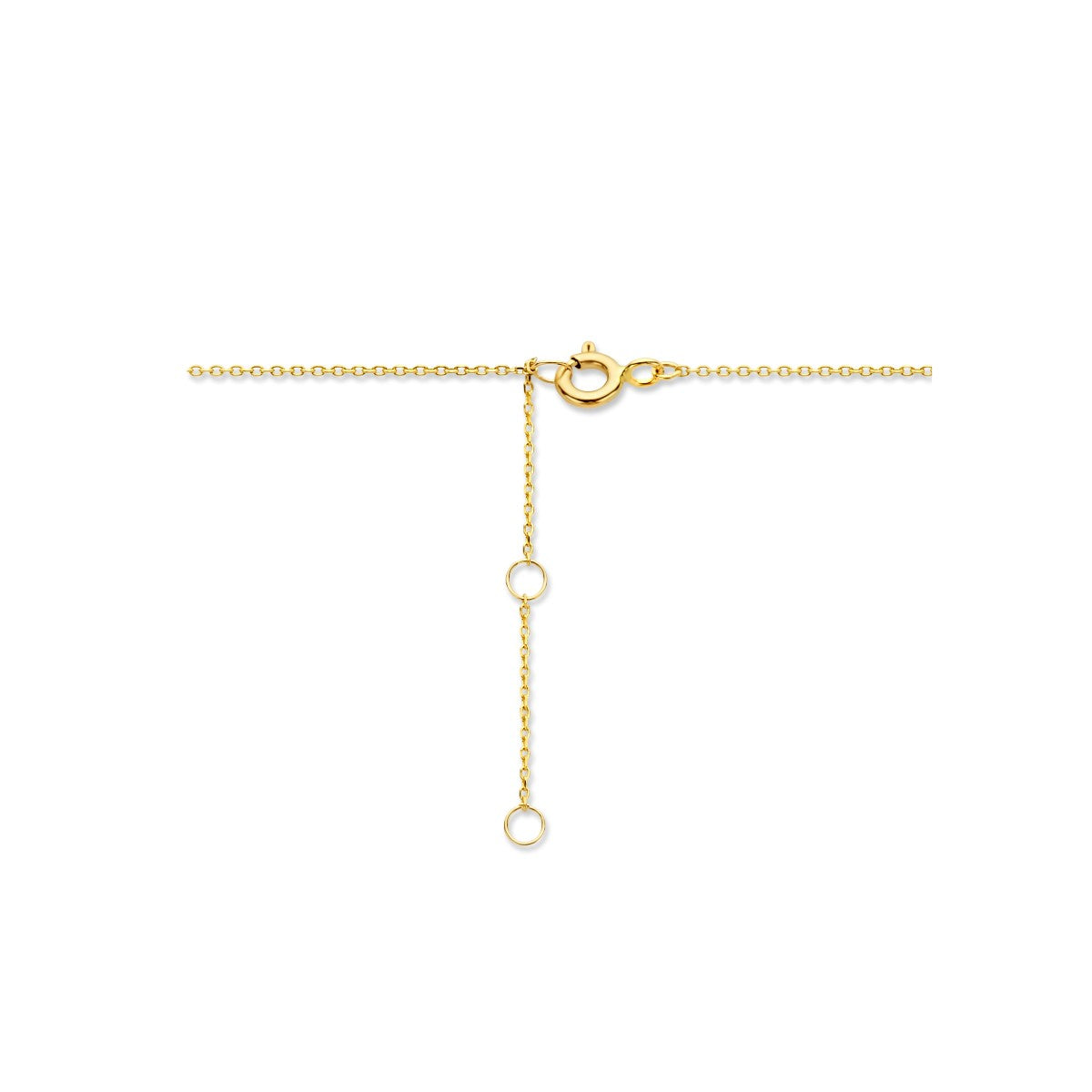14K geelgoud collier veer 0,8 mm 40 - 42 - 44 cm 4020737 - PansiteNederland.nl